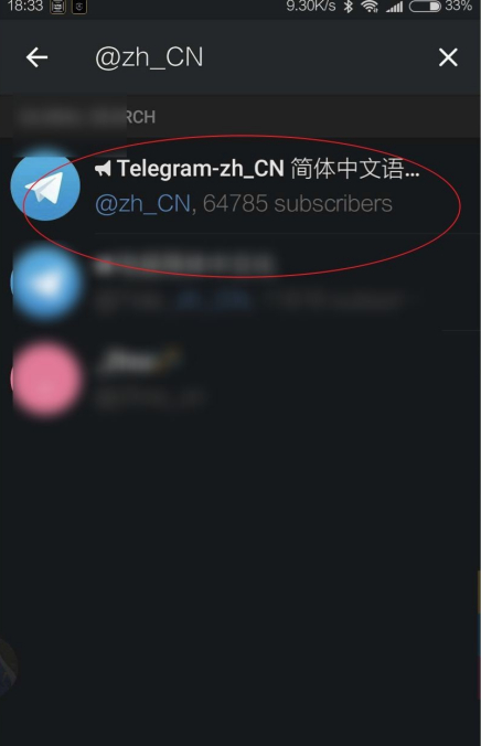 黑色纸飞机Telegeram苹果版怎么设置中文