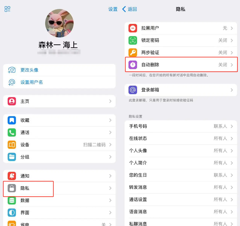 Telegeram纸飞机如何在苹果手机上开启自动删除消息