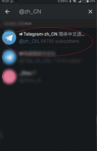 TelegeramX纸飞机灰色版本怎么设置中文