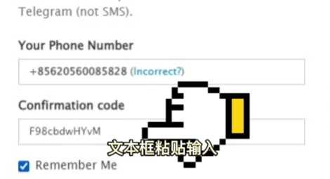 telegerat怎么永久注销自己手机账号 telegera完整注销账号方法