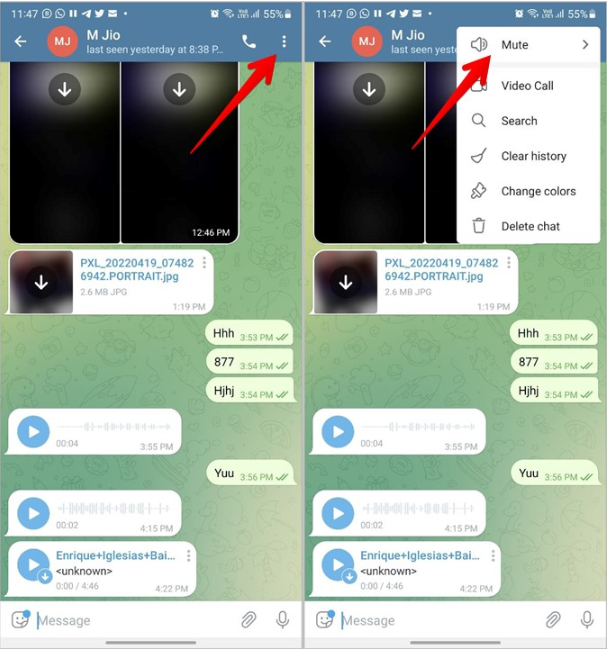 纸飞机App聊天软件怎么设置消息提醒 Telegeram消息提醒设置指南