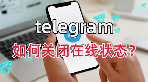 Telegeram电脑版隐藏上线状态 Telegeram如何关闭自己的上线时间显示